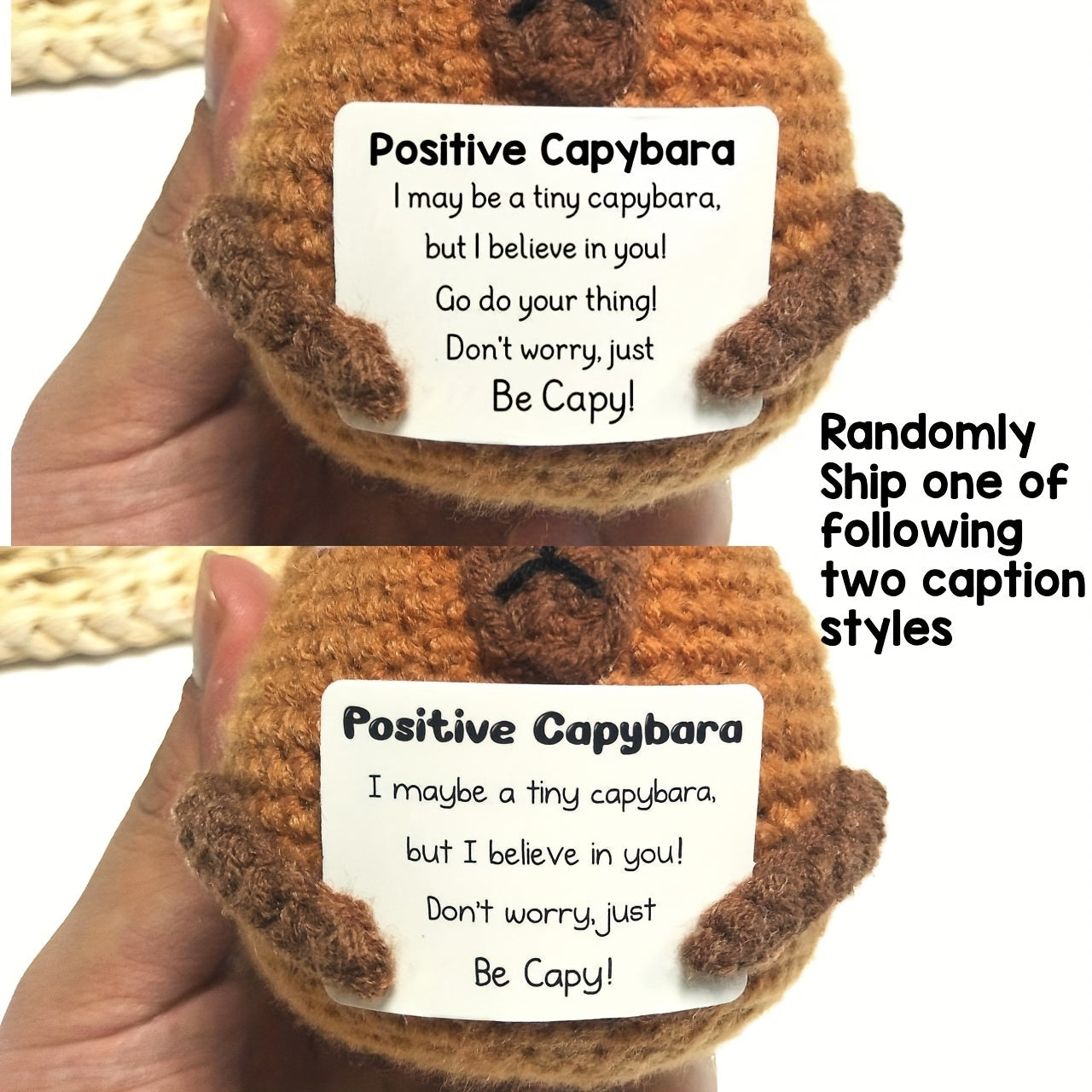 Positive Capybara